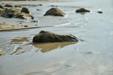 Laden Sie das Bild in den Galerie-Viewer, Fototapete Strand Momente