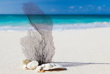 Laden Sie das Bild in den Galerie-Viewer, Fototapete Strandkunst