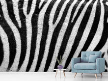 Laden Sie das Bild in den Galerie-Viewer, Fototapete Streifen vom Zebra