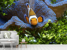 Laden Sie das Bild in den Galerie-Viewer, Fototapete Süsser Clownfisch