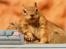 Laden Sie das Bild in den Galerie-Viewer, Fototapete Süsses Eichhörnchen