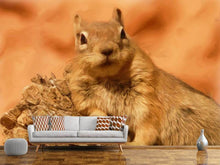 Laden Sie das Bild in den Galerie-Viewer, Fototapete Süsses Eichhörnchen