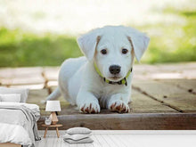 Laden Sie das Bild in den Galerie-Viewer, Fototapete Süsses Hunde Baby
