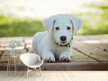 Laden Sie das Bild in den Galerie-Viewer, Fototapete Süsses Hunde Baby