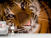 Laden Sie das Bild in den Galerie-Viewer, Fototapete Tiger Gesicht