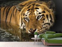Laden Sie das Bild in den Galerie-Viewer, Fototapete Tiger im Wasser