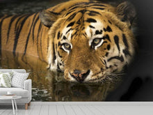 Laden Sie das Bild in den Galerie-Viewer, Fototapete Tiger im Wasser