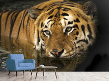 Laden Sie das Bild in den Galerie-Viewer, Fototapete Tiger im Wasser