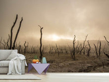 Laden Sie das Bild in den Galerie-Viewer, Fototapete Totes Land