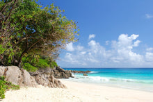 Laden Sie das Bild in den Galerie-Viewer, Fototapete Traumstrand Seychellen
