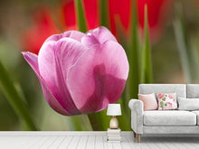 Laden Sie das Bild in den Galerie-Viewer, Fototapete Tulpe pretty in pink