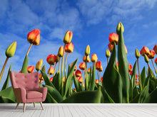 Laden Sie das Bild in den Galerie-Viewer, Fototapete Tulpen ragen zum Himmel