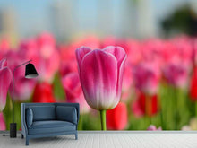 Laden Sie das Bild in den Galerie-Viewer, Fototapete Tulpenfeld in rosa-rot