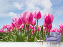 Laden Sie das Bild in den Galerie-Viewer, Fototapete Tulpenfeld in rosa