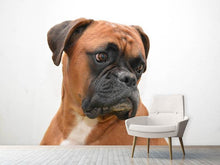 Laden Sie das Bild in den Galerie-Viewer, Fototapete Typisch Boxer