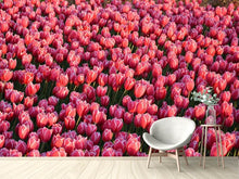 Laden Sie das Bild in den Galerie-Viewer, Fototapete Üppiges Tulpenfeld