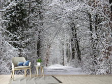 Laden Sie das Bild in den Galerie-Viewer, Fototapete Verzauberter Winterwald