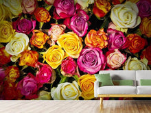 Laden Sie das Bild in den Galerie-Viewer, Fototapete Viele bunte Rosenblüten