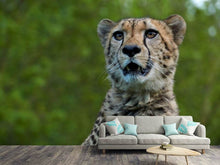 Laden Sie das Bild in den Galerie-Viewer, Fototapete Wachsamer Gepard