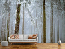 Laden Sie das Bild in den Galerie-Viewer, Fototapete Wald im Winter