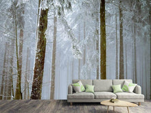 Laden Sie das Bild in den Galerie-Viewer, Fototapete Wald im Winter