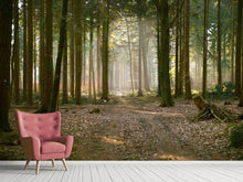Laden Sie das Bild in den Galerie-Viewer, Fototapete Wald Lauf