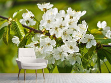 Laden Sie das Bild in den Galerie-Viewer, Fototapete Weisse Blüten in XL