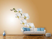 Laden Sie das Bild in den Galerie-Viewer, Fototapete Weisse Orchideen XL