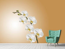 Laden Sie das Bild in den Galerie-Viewer, Fototapete Weisse Orchideen XL