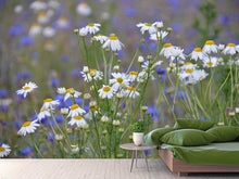 Laden Sie das Bild in den Galerie-Viewer, Fototapete Wilde Blumenwiese
