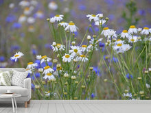 Laden Sie das Bild in den Galerie-Viewer, Fototapete Wilde Blumenwiese