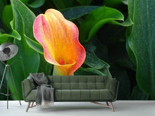 Laden Sie das Bild in den Galerie-Viewer, Fototapete Wilde Calla