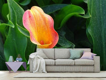 Laden Sie das Bild in den Galerie-Viewer, Fototapete Wilde Calla