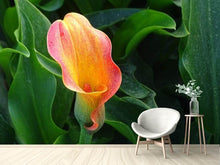 Laden Sie das Bild in den Galerie-Viewer, Fototapete Wilde Calla