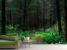 Laden Sie das Bild in den Galerie-Viewer, Fototapete Wilder Wald
