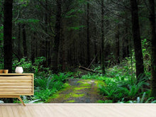 Laden Sie das Bild in den Galerie-Viewer, Fototapete Wilder Wald