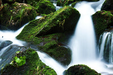 Laden Sie das Bild in den Galerie-Viewer, Fototapete Wilder Wasserfall