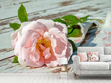 Laden Sie das Bild in den Galerie-Viewer, Fototapete Wildrose in rosa