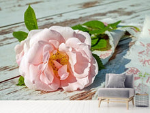 Laden Sie das Bild in den Galerie-Viewer, Fototapete Wildrose in rosa