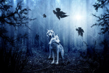 Laden Sie das Bild in den Galerie-Viewer, Fototapete Wolfs Paar