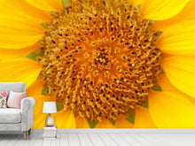 Laden Sie das Bild in den Galerie-Viewer, Fototapete Wunderschöne Knospen der Sonnenblume