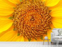 Laden Sie das Bild in den Galerie-Viewer, Fototapete Wunderschöne Knospen der Sonnenblume