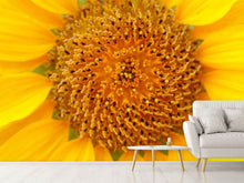 Laden Sie das Bild in den Galerie-Viewer, Fototapete Wunderschöne Knospen der Sonnenblume