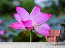 Laden Sie das Bild in den Galerie-Viewer, Fototapete Wunderschöne Lotus