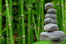 Laden Sie das Bild in den Galerie-Viewer, Fototapete XL Feng Shui
