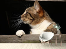 Laden Sie das Bild in den Galerie-Viewer, Fototapete XL Katze