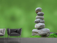Laden Sie das Bild in den Galerie-Viewer, Fototapete XL Zen