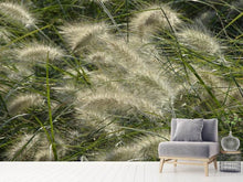 Laden Sie das Bild in den Galerie-Viewer, Fototapete Ziergrass im Wind