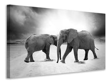 Laden Sie das Bild in den Galerie-Viewer, Leinwandbild 2 Elefanten sw