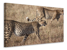 Laden Sie das Bild in den Galerie-Viewer, Leinwandbild 2 Leoparden